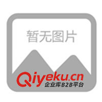 深圳茂藝來生產銷售抱枕、頸枕、抱枕被等(圖)